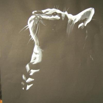 animaux