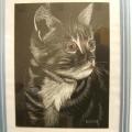 feline